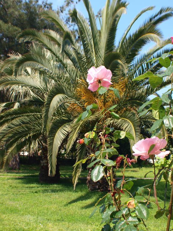 Laios Hotel (Adults Only) Limenas  Exterior photo